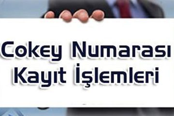 Cokey Numarası Kayıt İşlemleri
